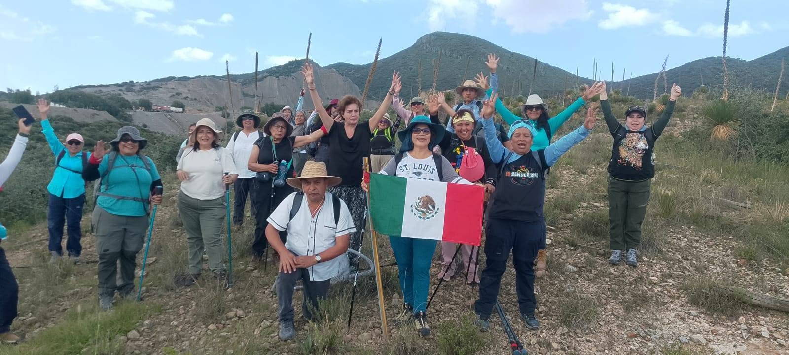 Portafolio y proyectos