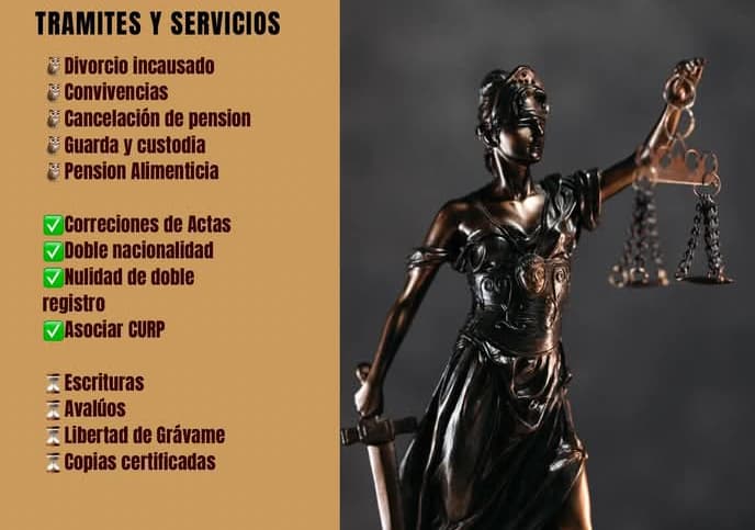 Trámites y servicios legales: recibe orientación para tu caso